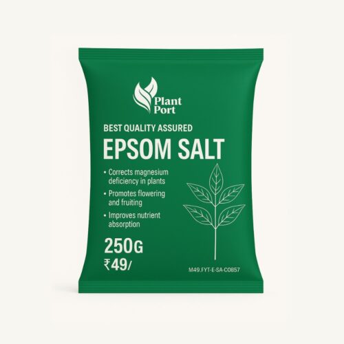 Epsom Salt (250gms)