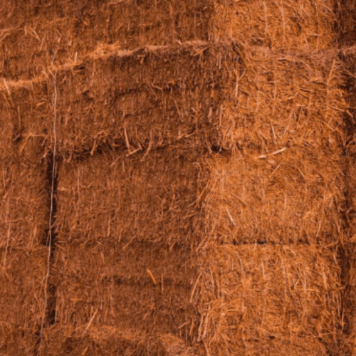 Coco Peat (500gm, Buy 1 Get 1 free)
