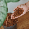 Coco Peat (500gm, Buy 1 Get 1 free)