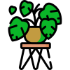 indoor-plants